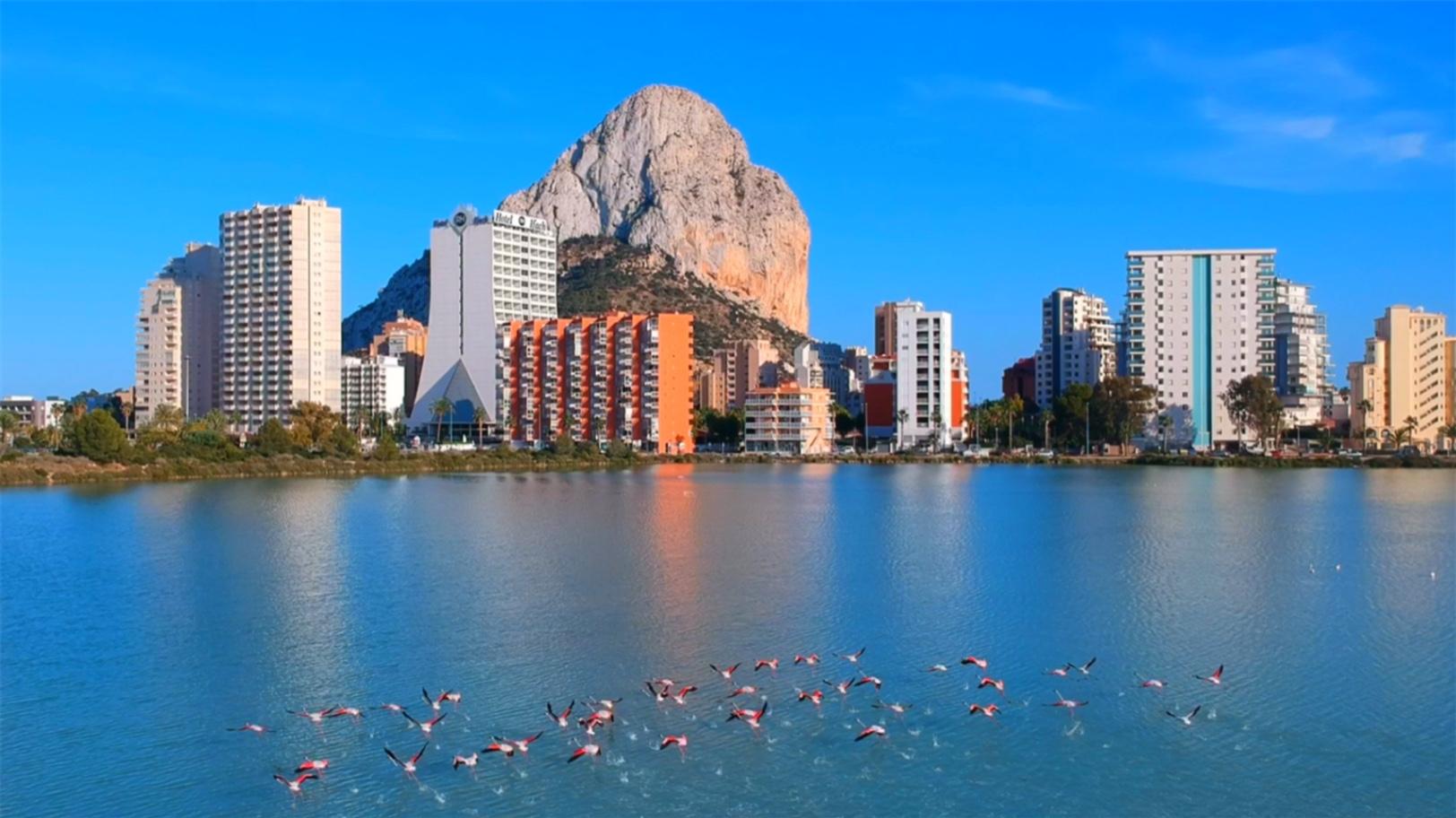 NE1492P - Urban Plot for sale in Calpe