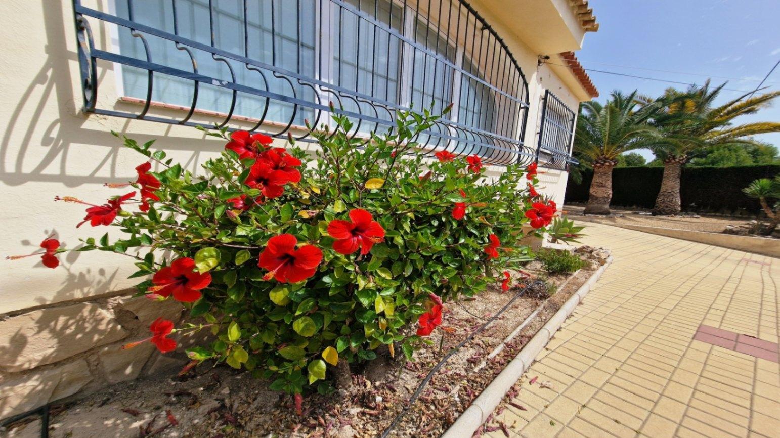 NE1370V - Beautiful Mediterranean Villa at Alfaz del Pi